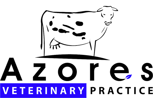 Azores Veterinary Practice